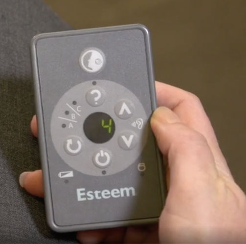 Esteem Programmer Remote